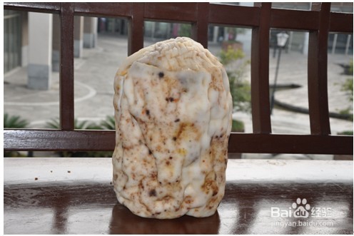 太岁到底是种什么东西