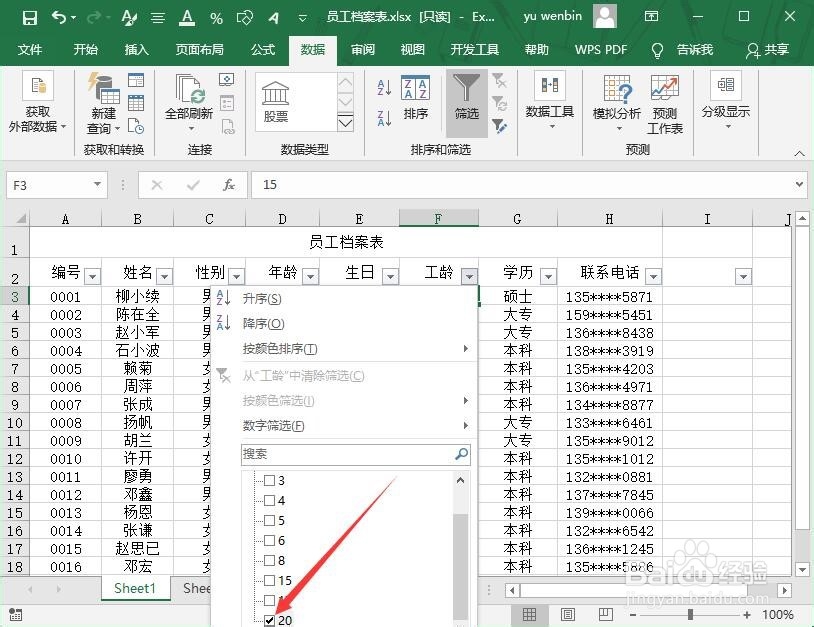 Excel中如何进行数据筛选