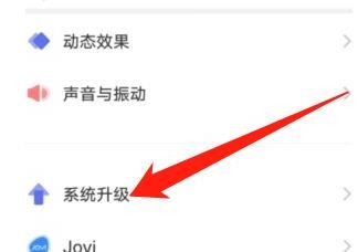 vivo手机怎么禁止系统自动更新