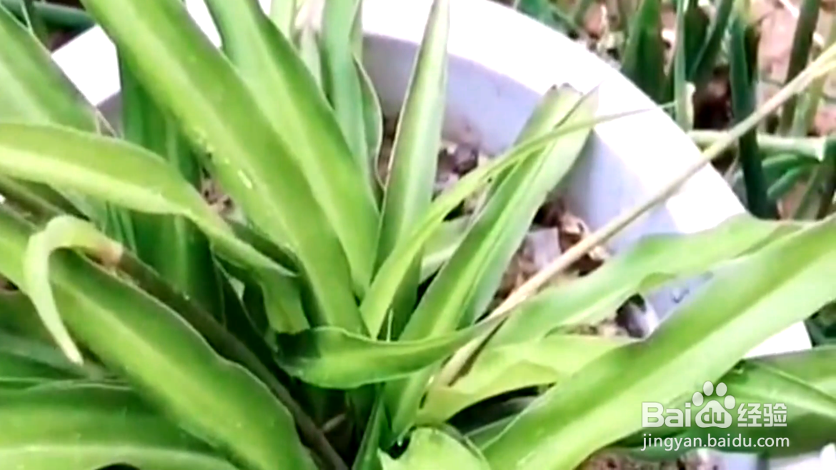 如何巧妙地利用烟头