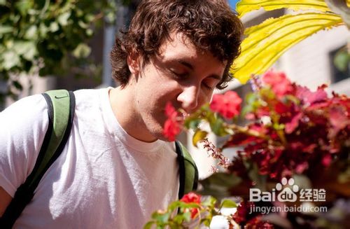 怎样去除生活中的各种异味