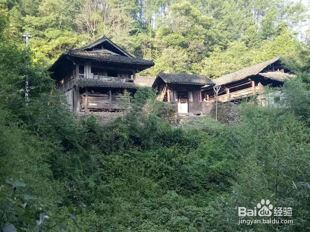 精彩图片收集的方法