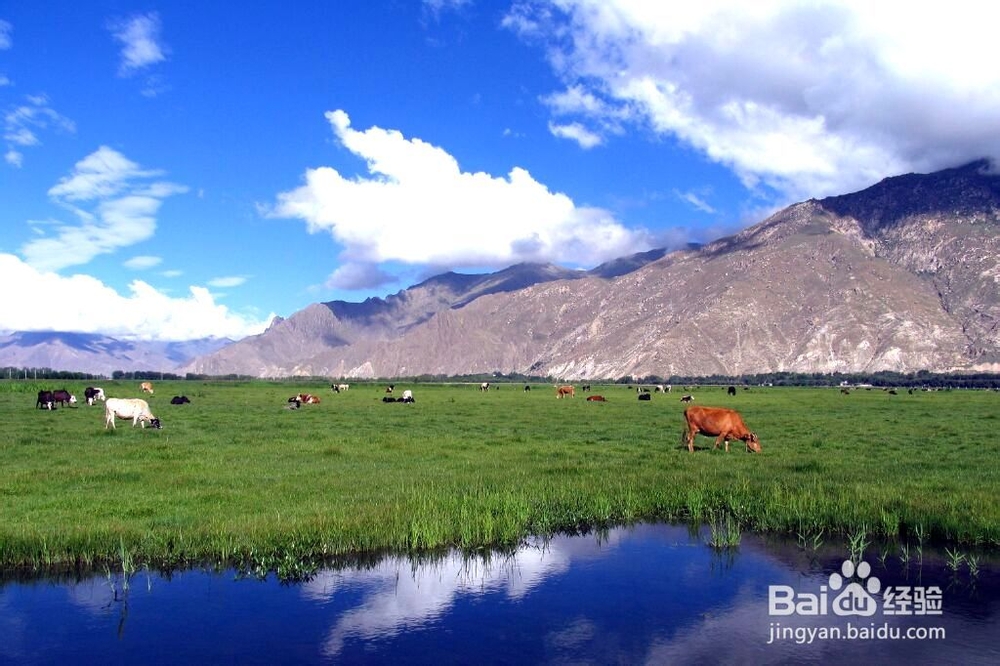 高原旅游时需注意的事项