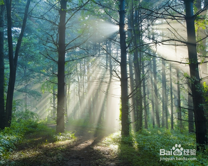 如何让自己处理好人际关系