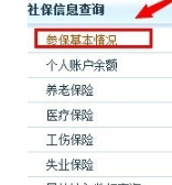 上海社保缴费记录网上查询过程