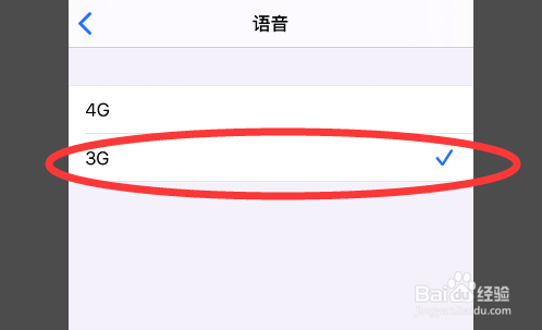 iPhone11如何开启低数据模式?