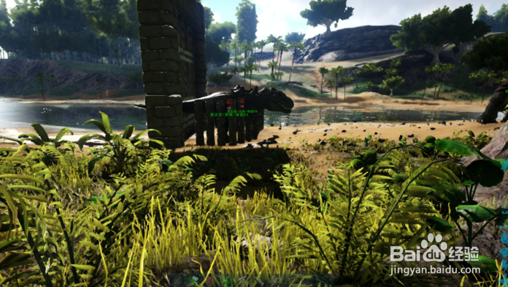 方舟生存进化怎样获得受精的霸王龙蛋