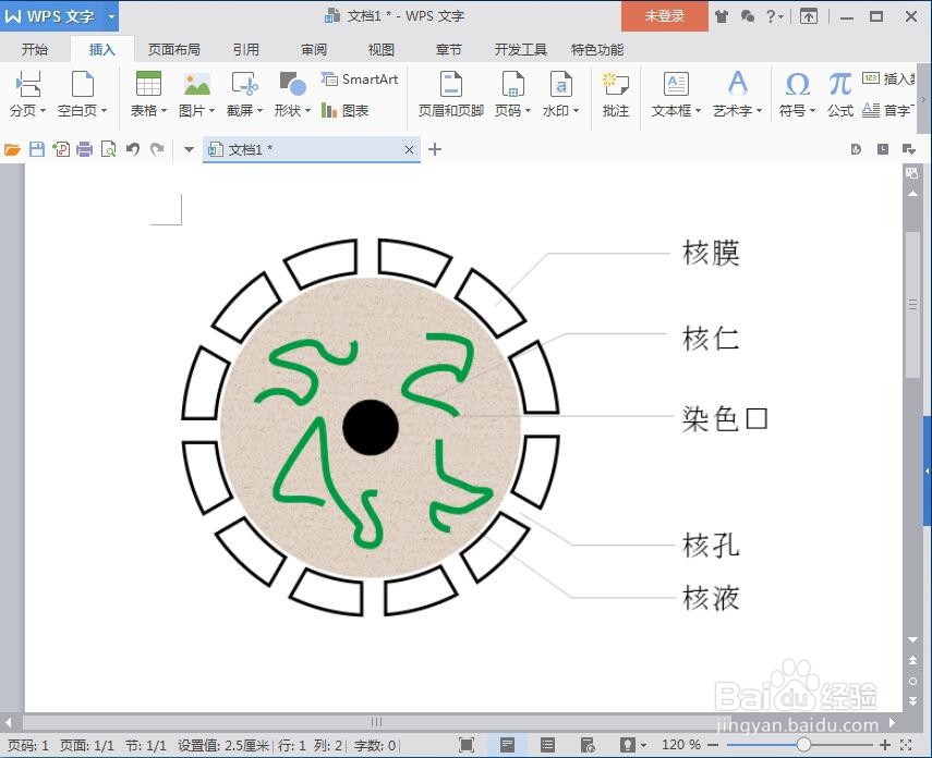 在wps文字中插入在线图片的方法