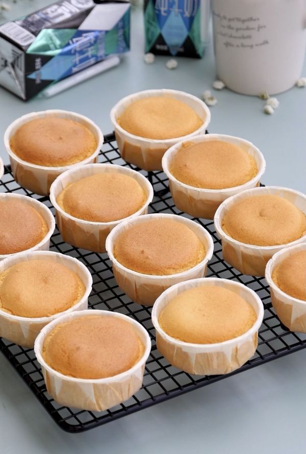 杨梅冰激凌纸杯蛋糕