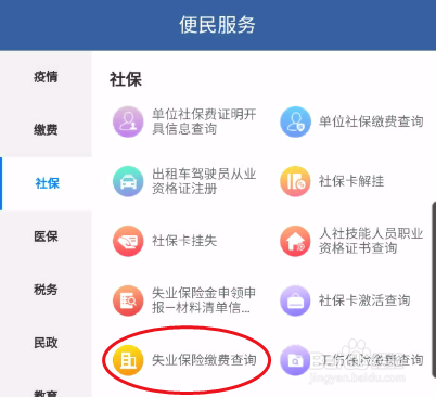 青松办如何查询失业保险缴费信息