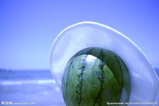 如何度过这个炎热的夏日,防止中暑