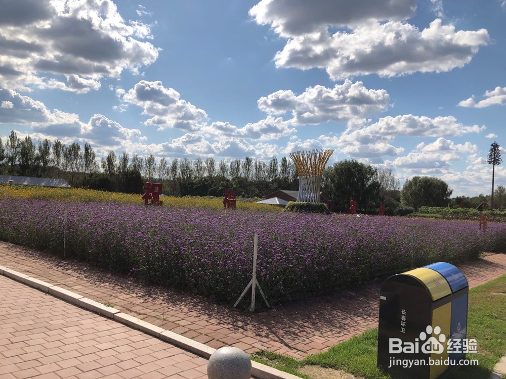 如何树立健康的人格