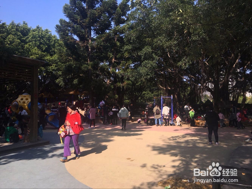 福州温泉公园花灯游