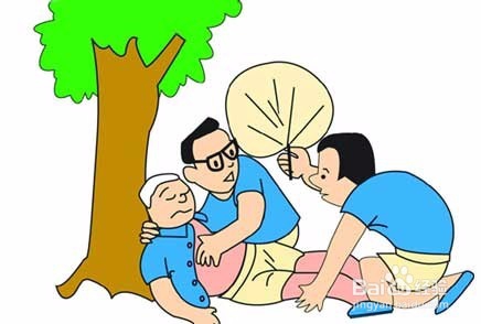 白扁豆花的功效与食用方法