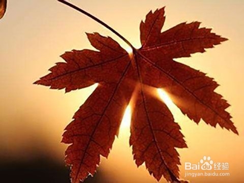 研究生如何摆脱刚入学的迷茫