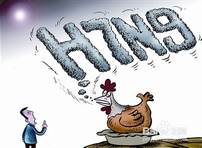 如何预防H7N9
