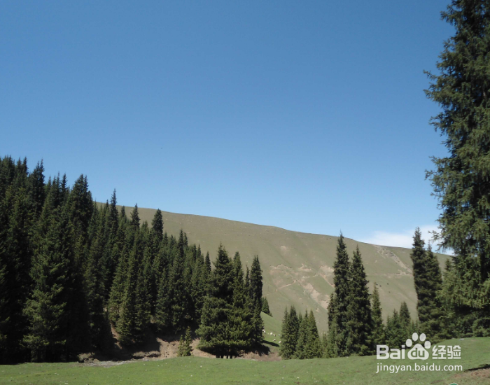 新疆7日游，有什么路线推荐？