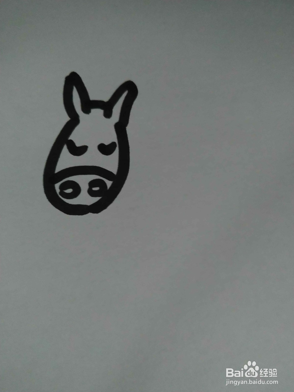 毛驴的简笔画技法15