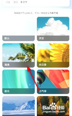 携程旅行个人主页在哪换肤