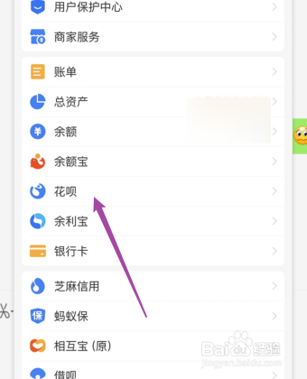 支付宝怎么查看花呗账单