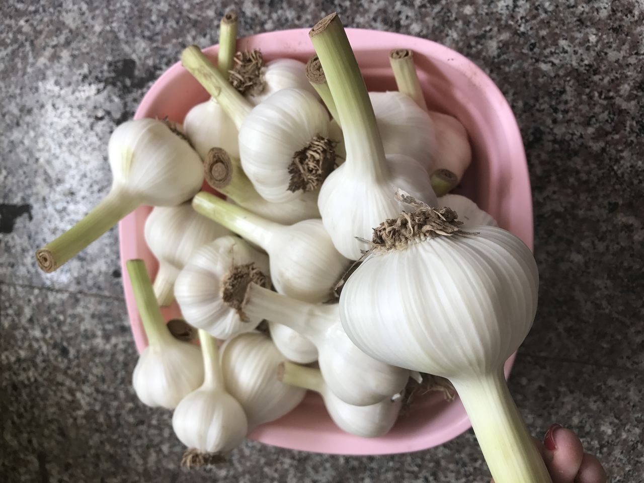 超美味的糖蒜,每一口都是满满的幸福!