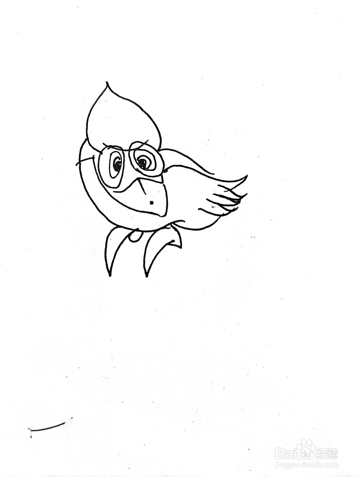 回头望的鹦鹉线描画怎么画