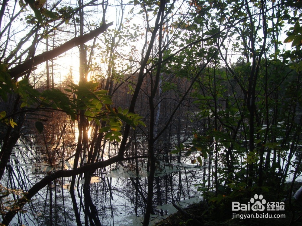 徒步爱好者的旅游圣地之一苏必利尔步道