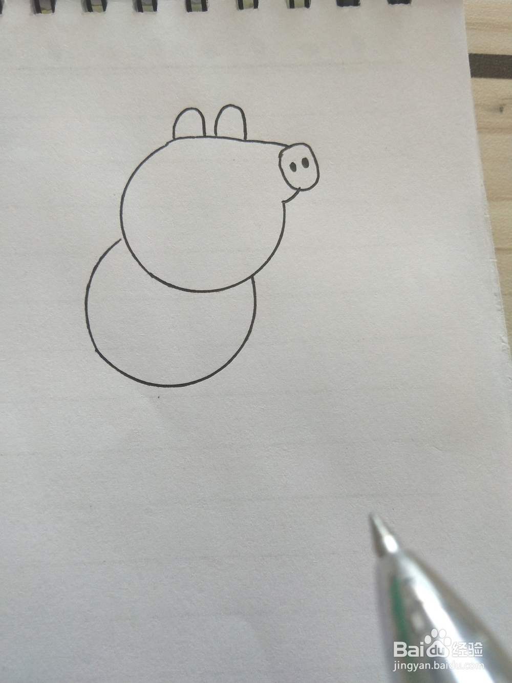 猪乔治的简笔画这样画