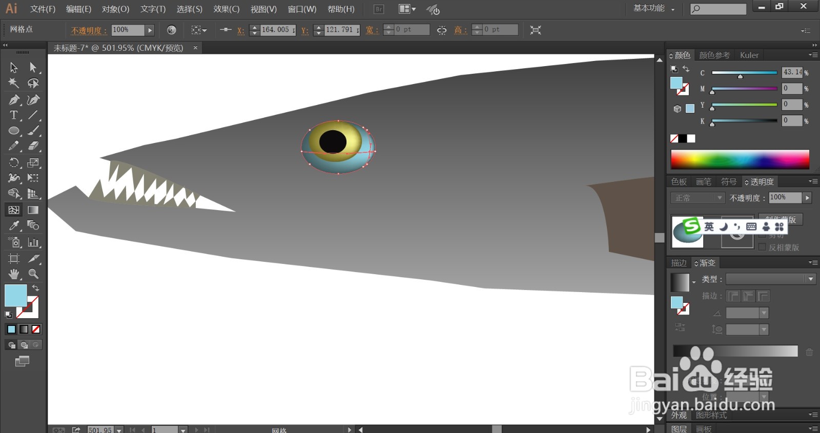 梭鱼的卵怎么画简笔画
