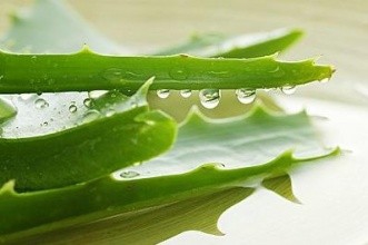 女性怎么防电脑辐射