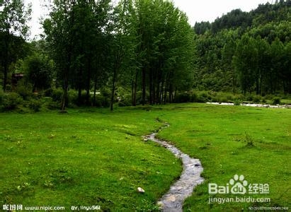 西藏旅游攻略(注意事项与美景)