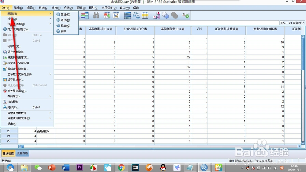 如何打开SPSS中的脚本命令？