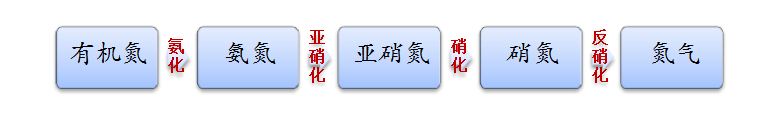 污水总氮超标原因和解决办法