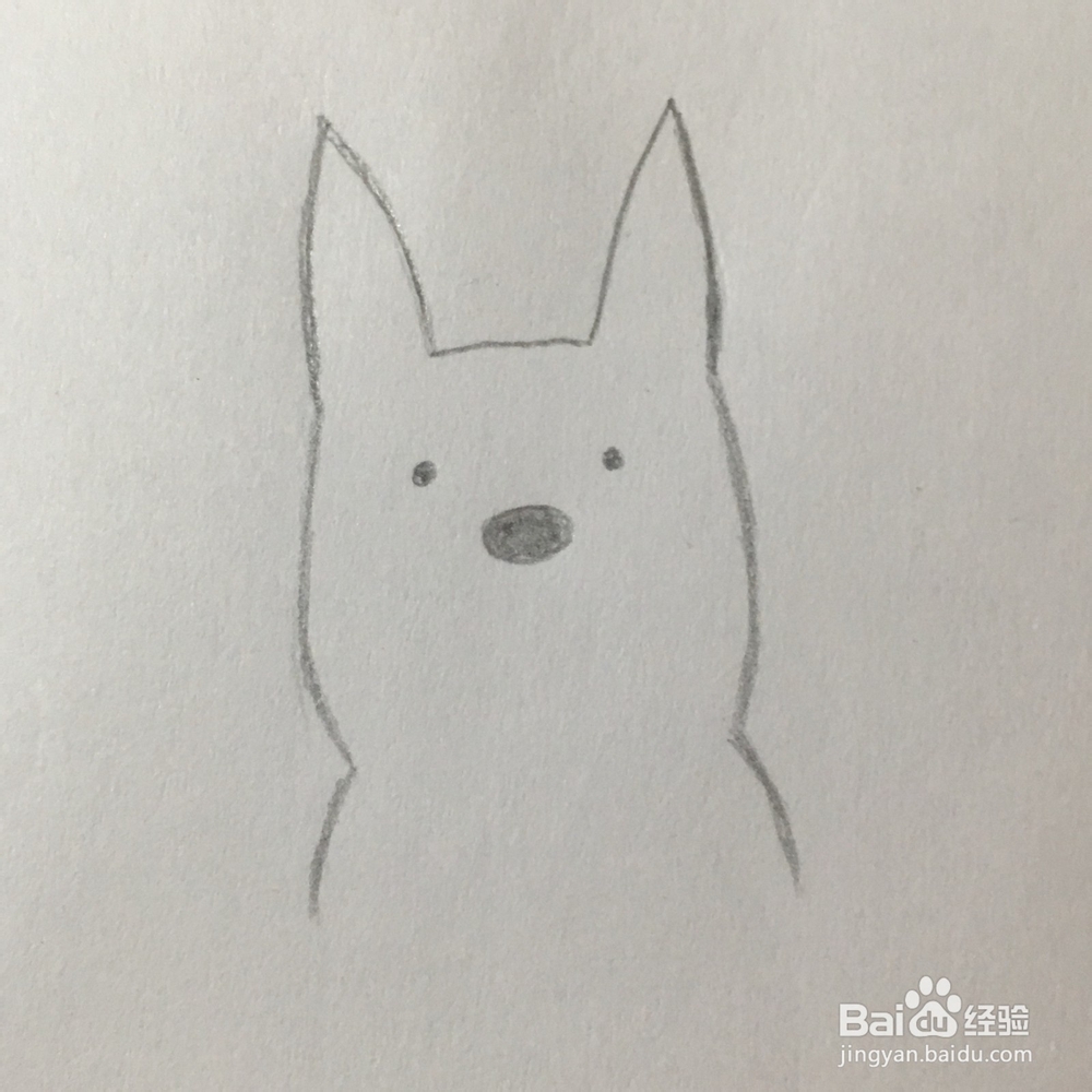 怎么画一只被吓到的柯基小狗简笔画？