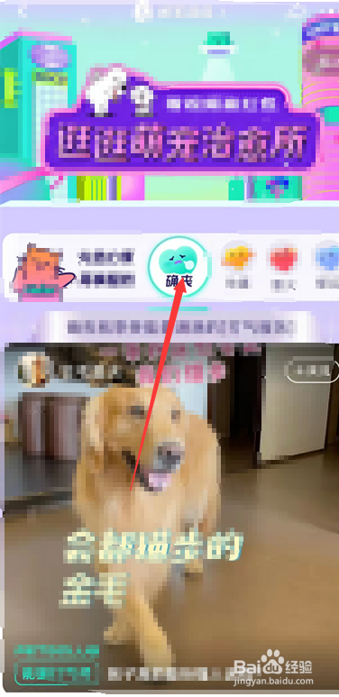 淘宝逛逛怎么进入萌宠治愈所