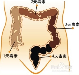 如何清肠，教你早晨清肠、除口臭、色斑、大肚腩