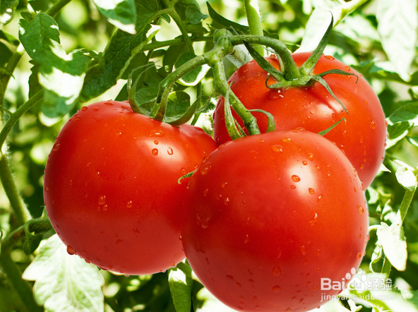 八种常见食物 助你的血管畅通无阻！！！