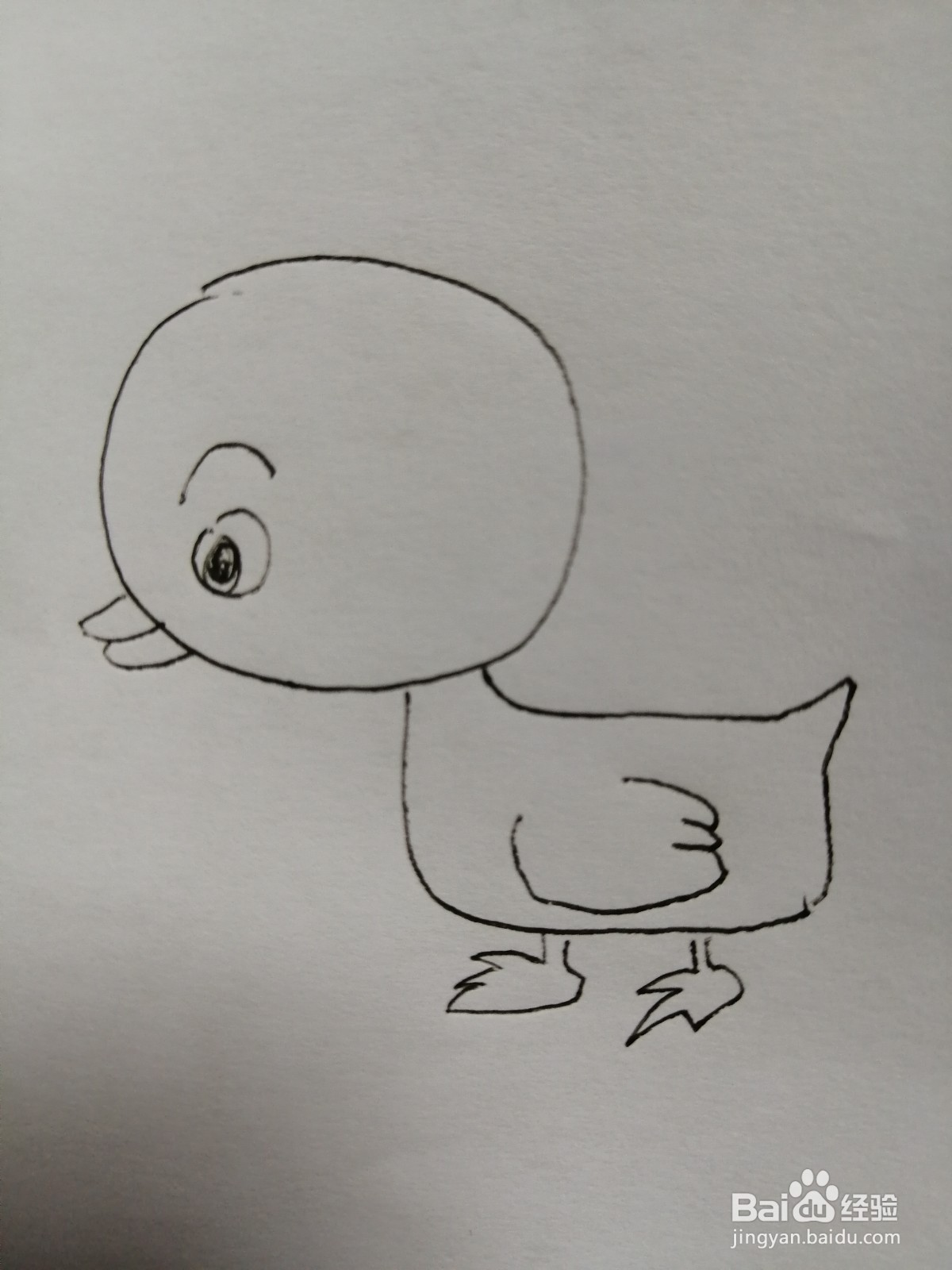 <b>可爱的小鸭子怎么画</b>