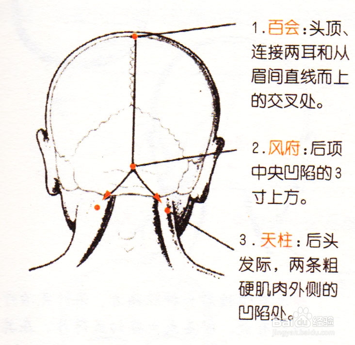 头部穴位按摩治疗后头神经痛的方法(多图)