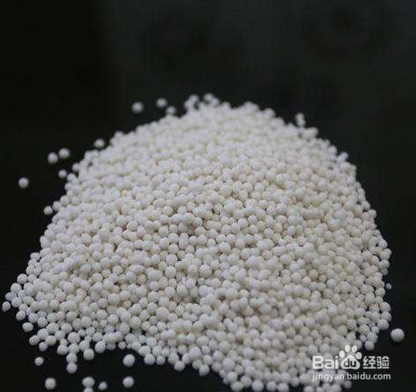 怎么养护酢浆草