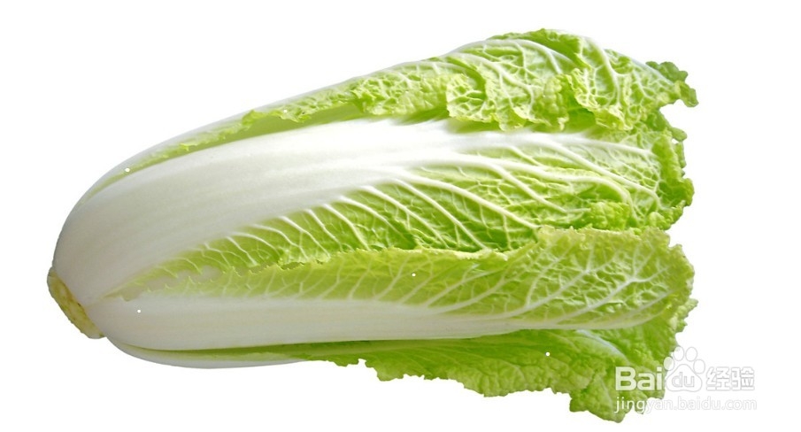 冬天适合吃哪些蔬菜?