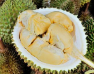 吃榴莲的7大禁忌