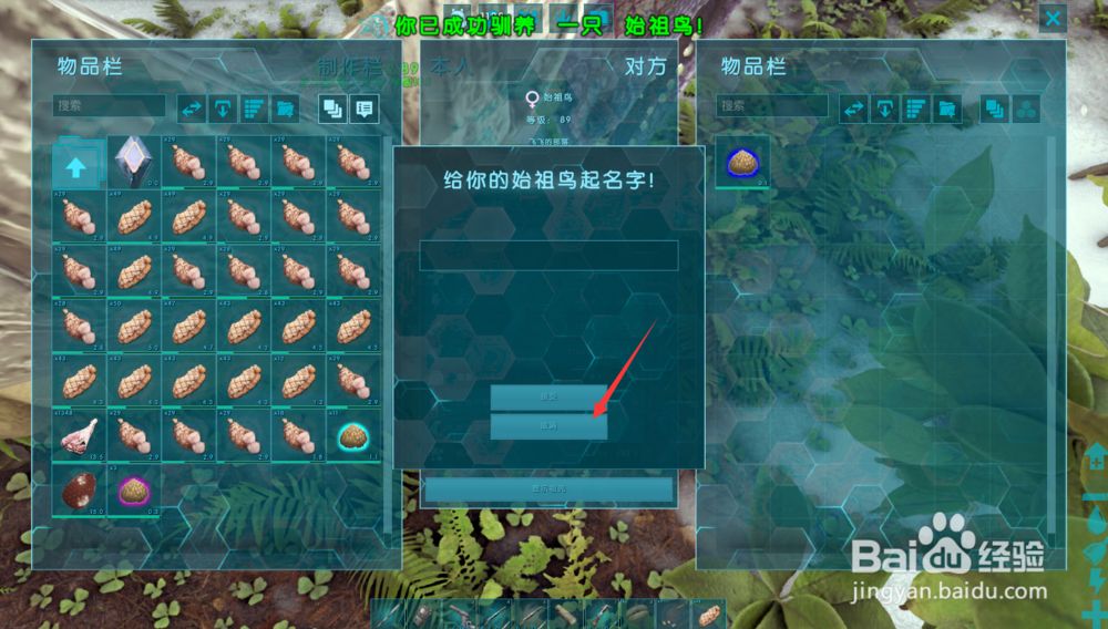 方舟生存进化始祖鸟怎么驯服