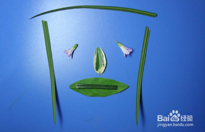 植物简笔画之快乐的思考者