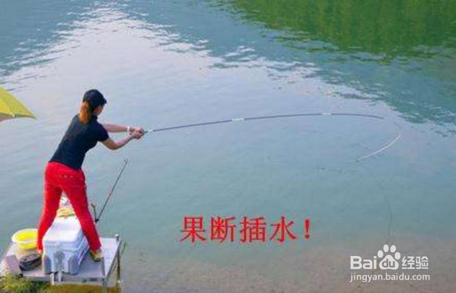 钓鱼哪个环结最重要？钓鱼饵料渔具线组窝料