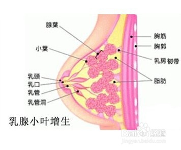 乳腺增生怎么办？乳腺增生的治疗方法