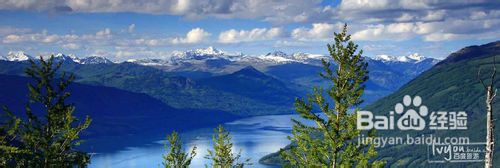 喀纳斯旅游攻略