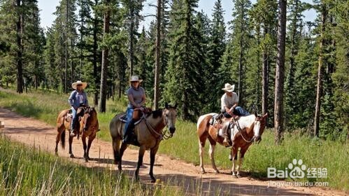 如何选择生命疗养圣地