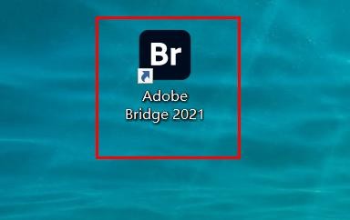 Bridge使用软件渲染#校园分享#