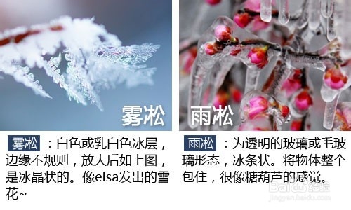 手机摄影技巧：[6]雾凇拍摄小贴士